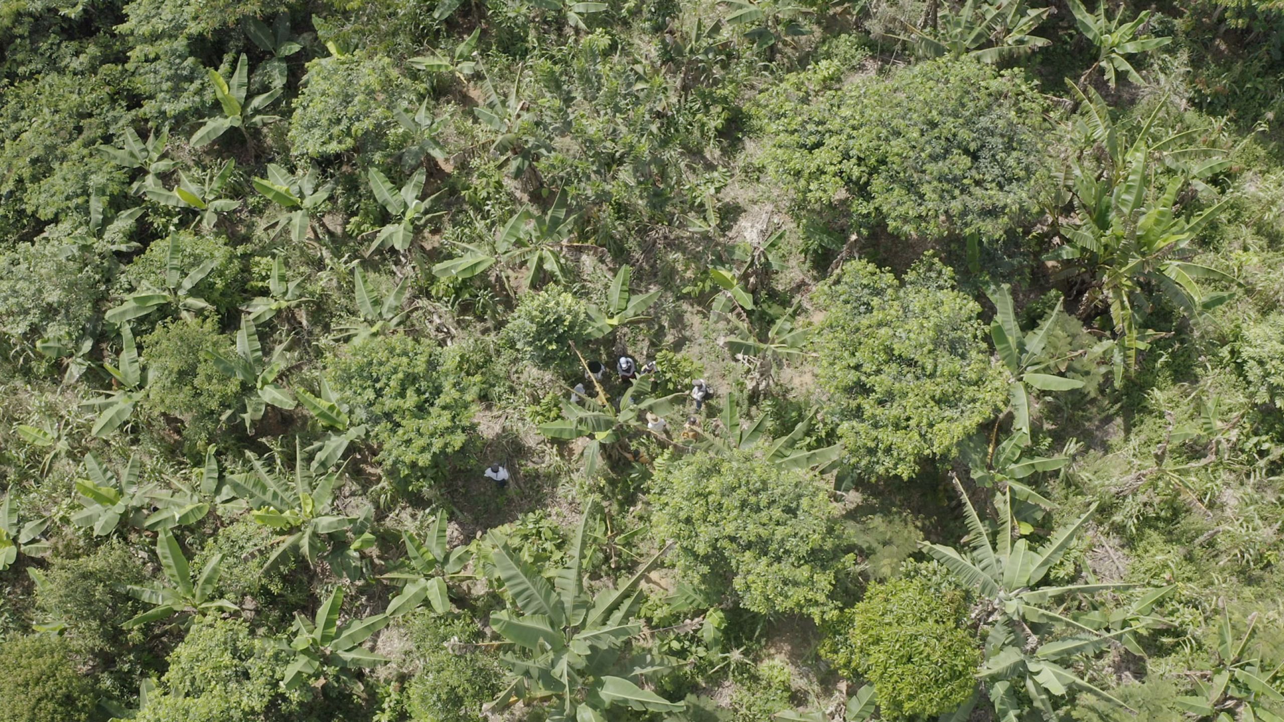 Gobernanza y planificación del territorio